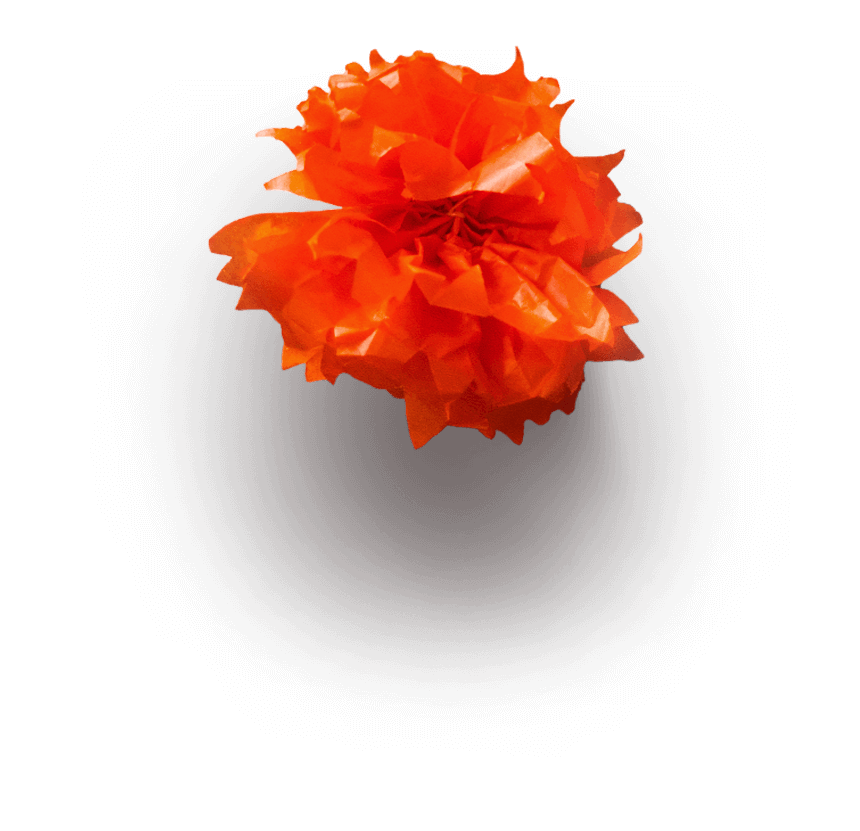 Orange Flower